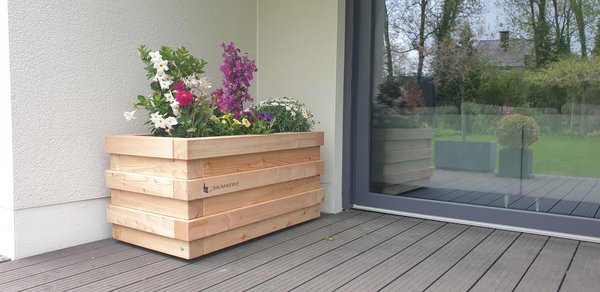 Pflanzkübel mit Rollen und schöner Bepflanzung aus Blumen auf einer modernen Terrasse.